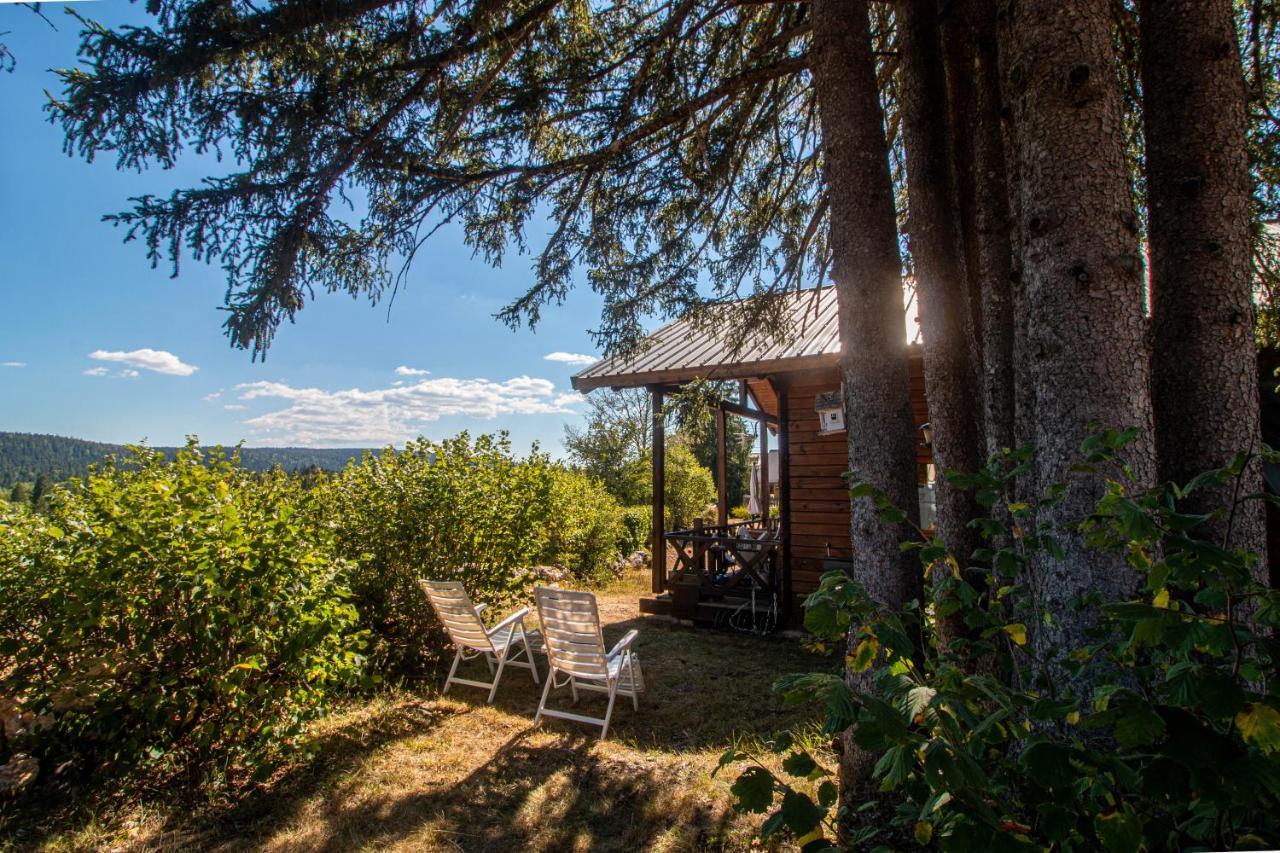 Chalet Du Bois Joli Saint-Laurent-en-Grandvaux Bagian luar foto