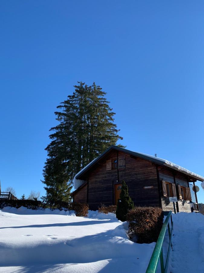 Chalet Du Bois Joli Saint-Laurent-en-Grandvaux Bagian luar foto