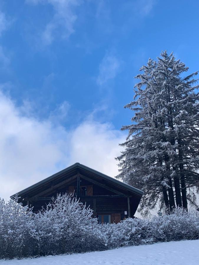Chalet Du Bois Joli Saint-Laurent-en-Grandvaux Bagian luar foto